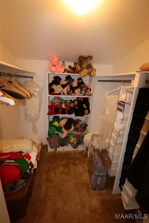 spacious closet with carpet