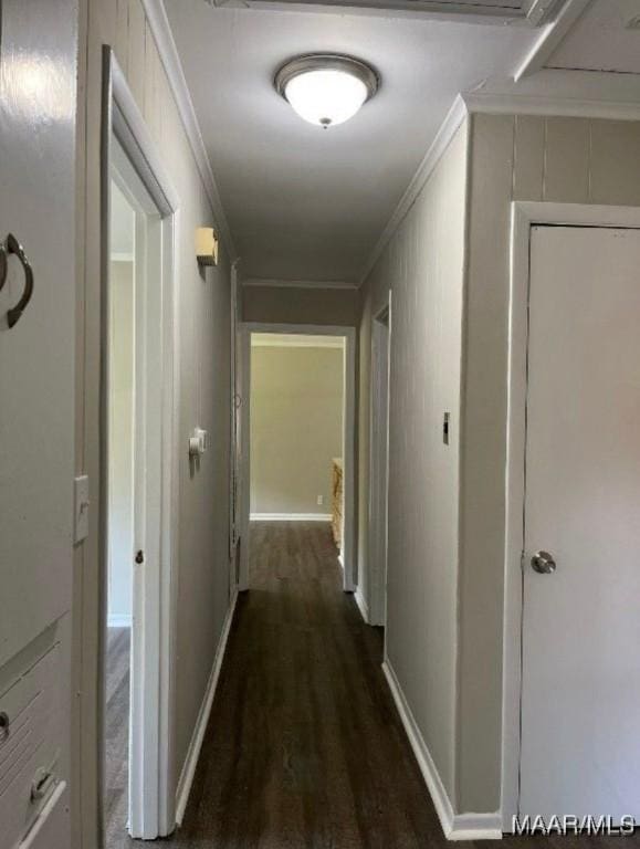 hall featuring crown molding and dark hardwood / wood-style flooring