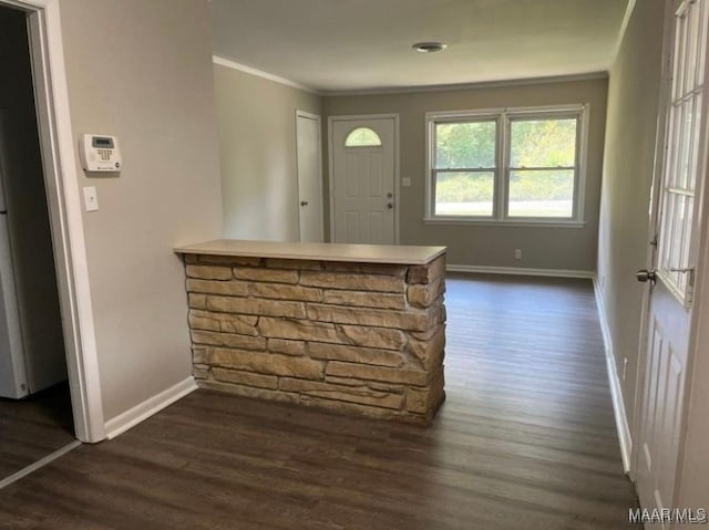 entrance foyer featuring dark hardwood / wood-style floors and ornamental molding