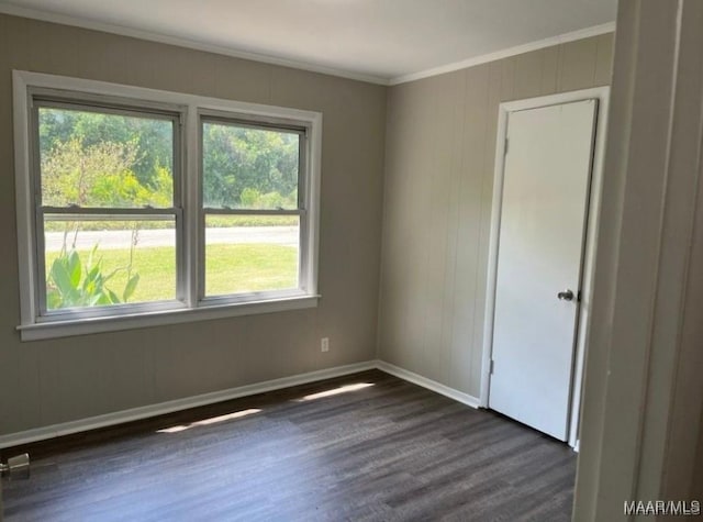 empty room featuring crown molding