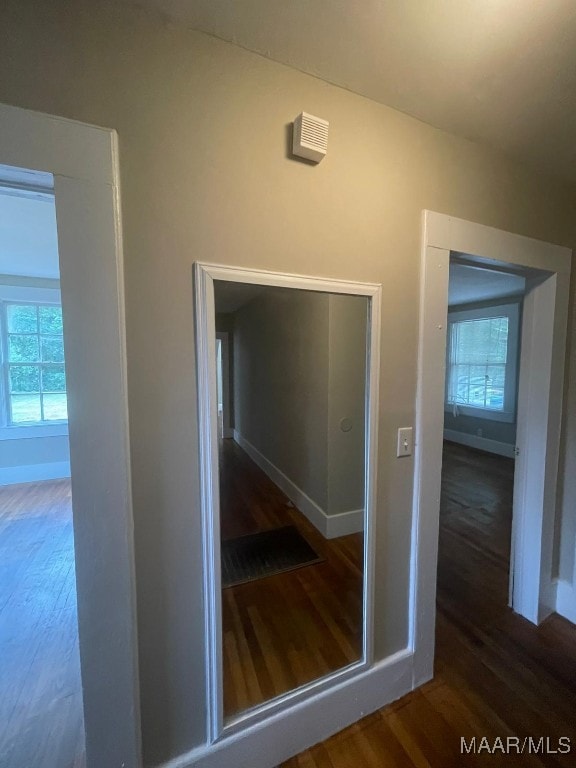 corridor featuring dark hardwood / wood-style floors