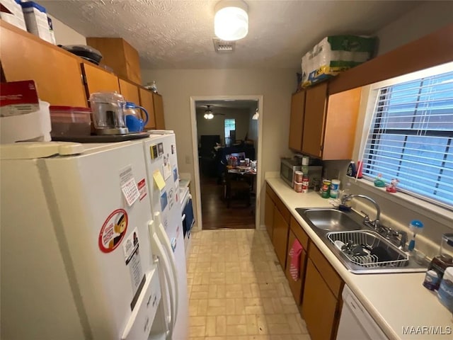 kitchen featuring a textured ceiling, refrigerator, a healthy amount of sunlight, and sink