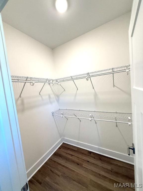 walk in closet featuring dark wood-style flooring