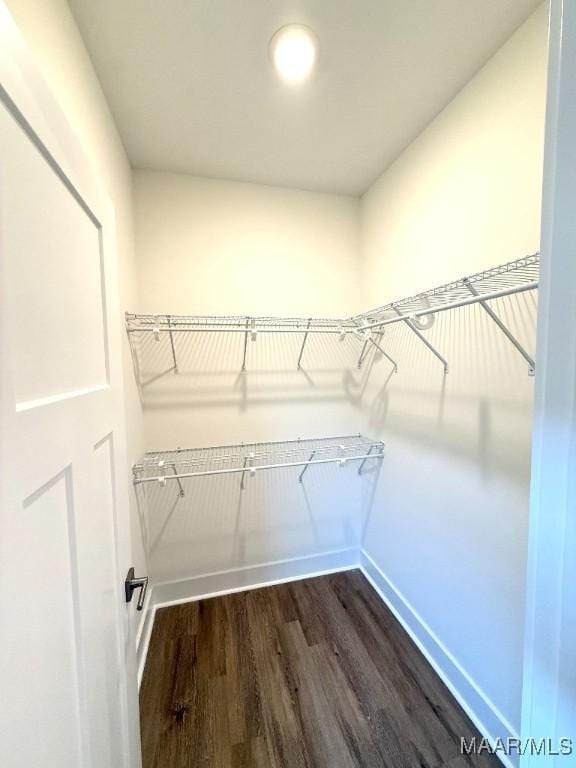 spacious closet with dark wood finished floors