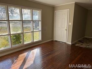 spare room with dark hardwood / wood-style floors and crown molding