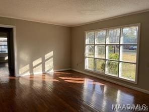 spare room featuring hardwood / wood-style flooring, ornamental molding, and a wealth of natural light