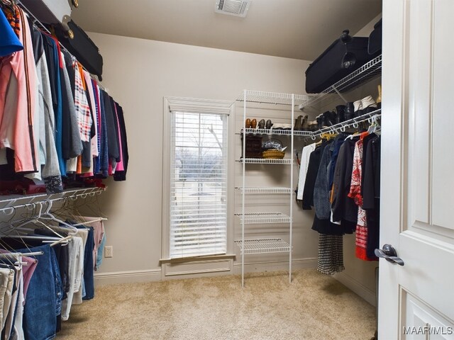 8513 Rockbridge Cir, Montgomery, AL 36116 - walk in closet with carpet floors