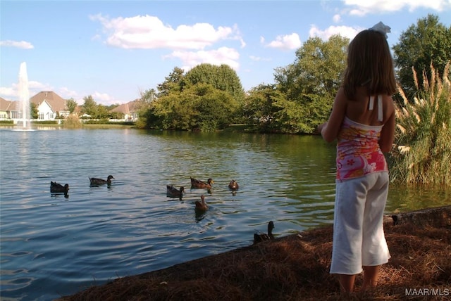8513 Rockbridge Cir, Montgomery, AL 36116 - water view