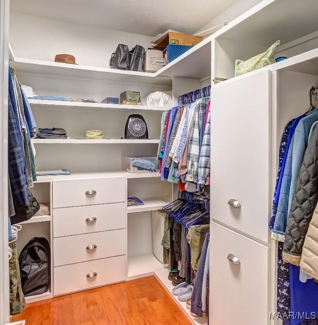 walk in closet featuring light wood-type flooring