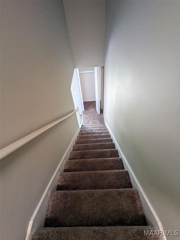 stairs featuring carpet