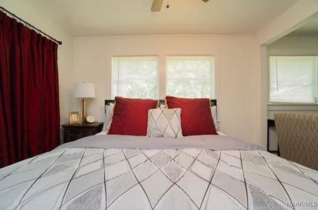 bedroom with ceiling fan and multiple windows