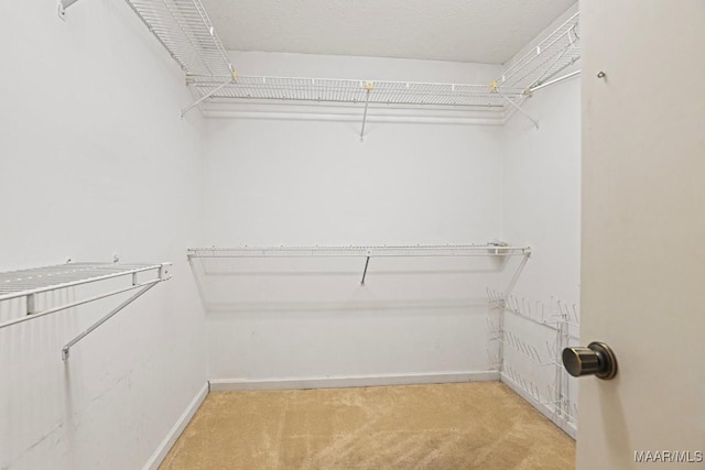 walk in closet featuring light colored carpet