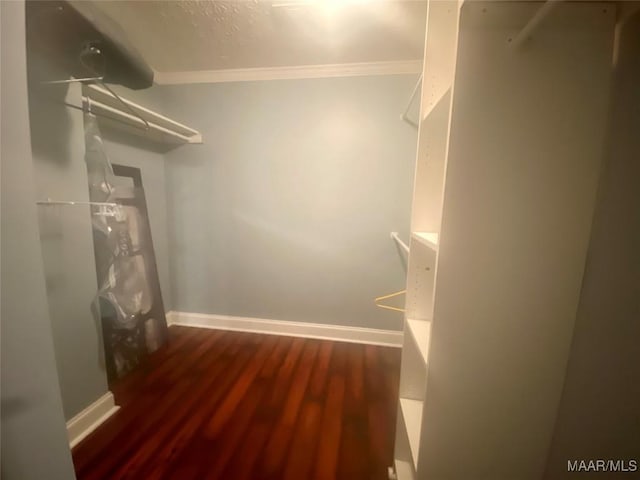 spacious closet featuring dark hardwood / wood-style floors