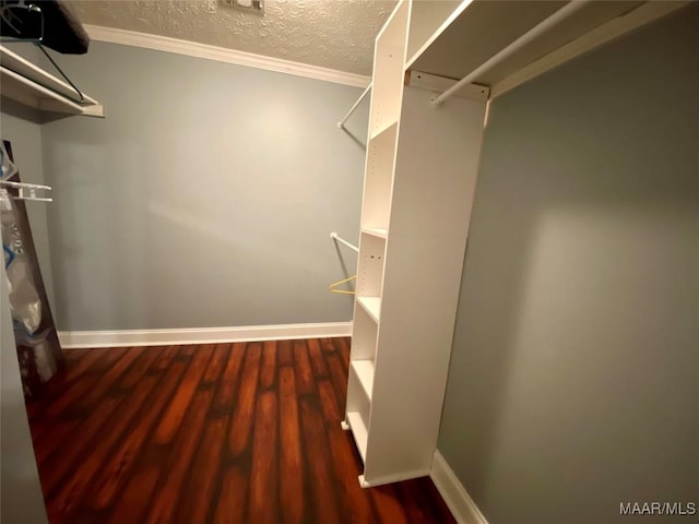 walk in closet featuring dark hardwood / wood-style flooring