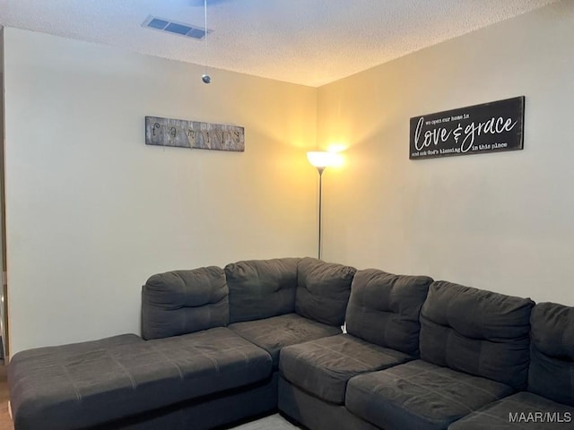 living room featuring a textured ceiling