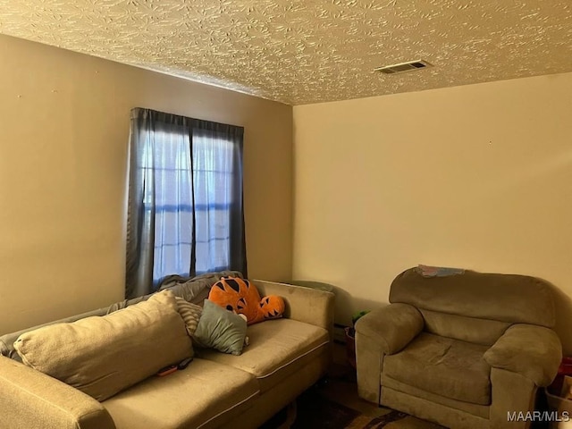 living room featuring a textured ceiling