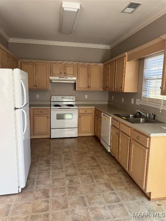 kitchen featuring white appliances, ornamental molding, light brown cabinetry, and sink