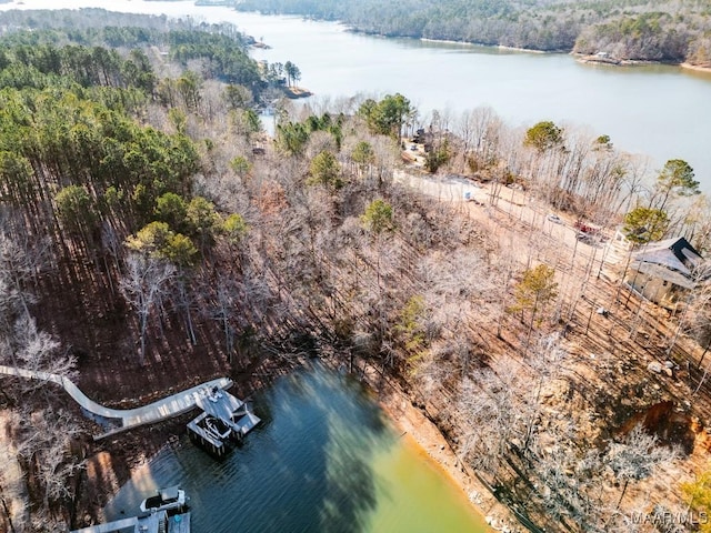 0 Bay Point Dr, Jacksons Gap, AL 36861 - photo 4