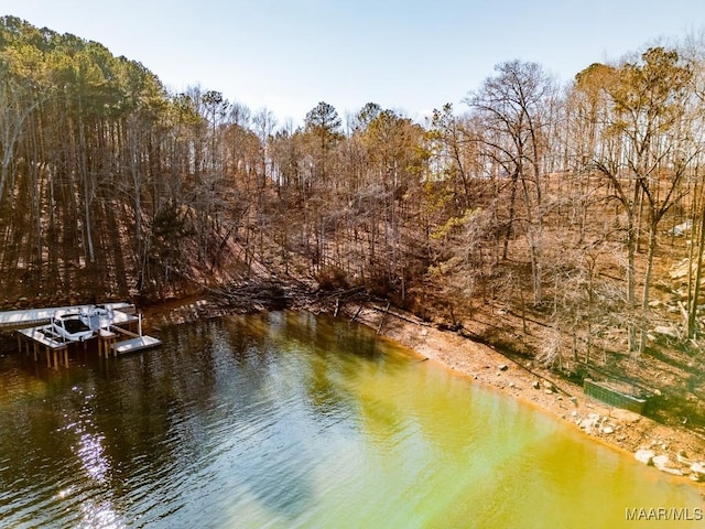 0 Bay Point Dr, Jacksons Gap, AL 36861 - photo 5