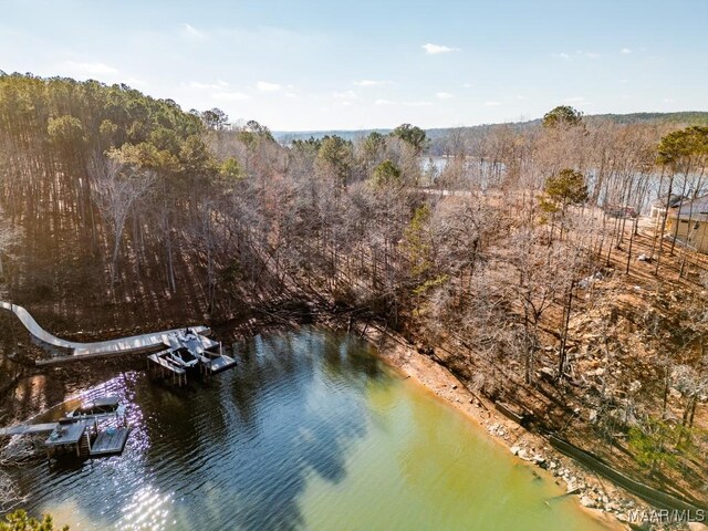 0 Bay Point Dr, Jacksons Gap, AL 36861 - photo 6