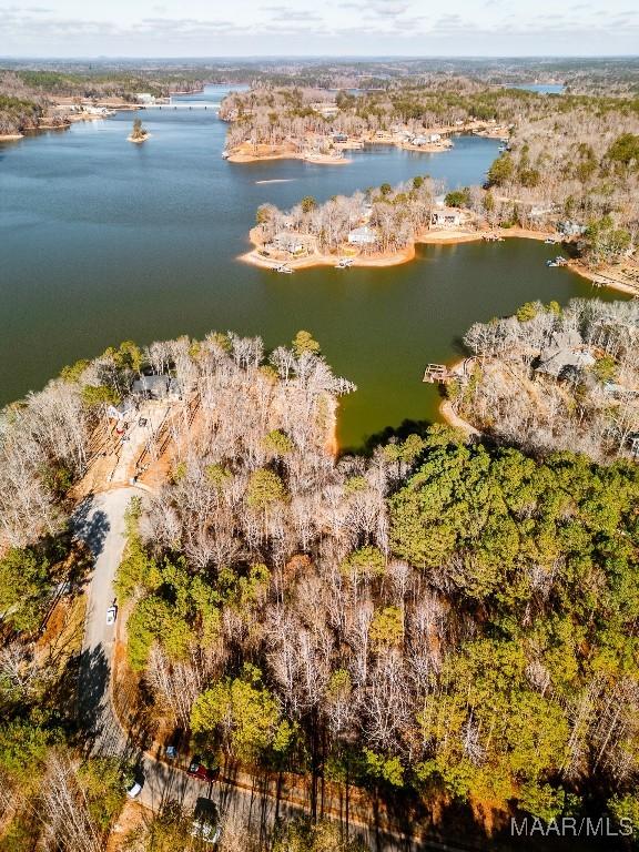 0 Bay Point Dr, Jacksons Gap, AL 36861 - photo 8