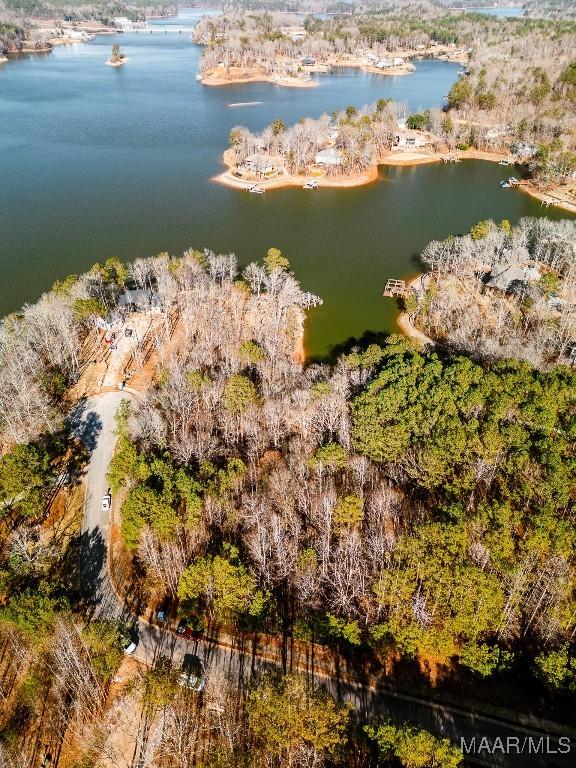 0 Bay Point Dr, Jacksons Gap, AL 36861 - photo 9