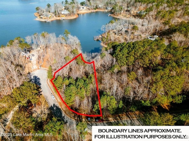 0 Bay Point Dr, Jacksons Gap, AL 36861 - photo 10