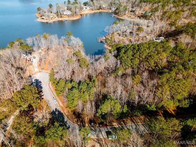 0 Bay Point Dr, Jacksons Gap, AL 36861 - photo 11