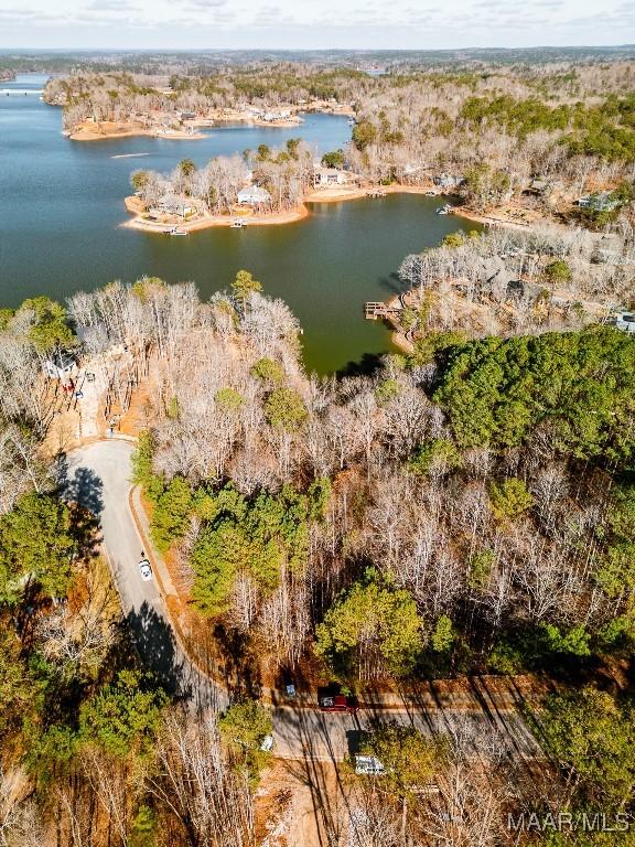 0 Bay Point Dr, Jacksons Gap, AL 36861 - photo 12