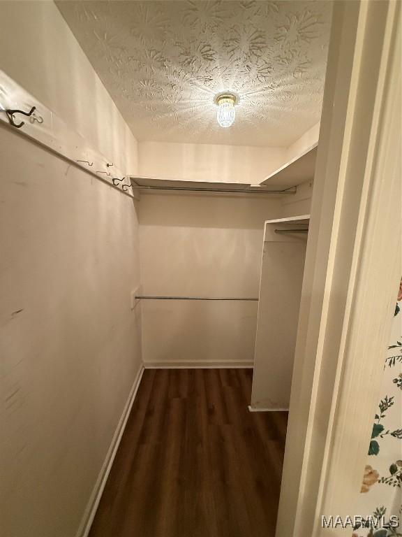 walk in closet featuring dark hardwood / wood-style flooring