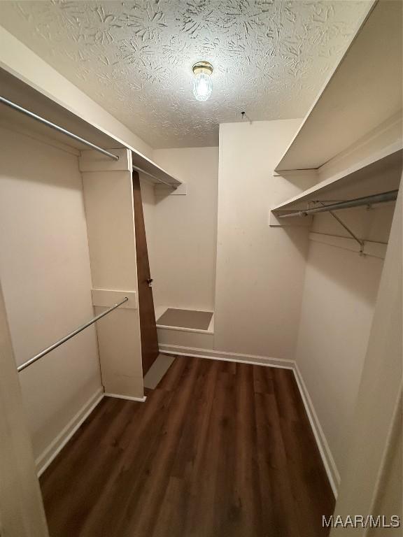 walk in closet featuring dark hardwood / wood-style flooring