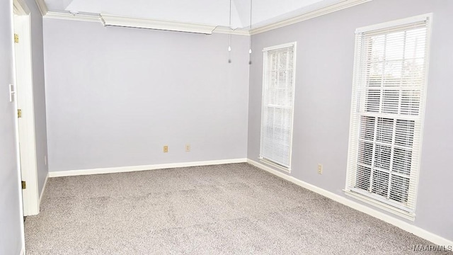 unfurnished room with carpet flooring and ornamental molding