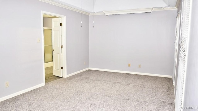 unfurnished bedroom with carpet floors and crown molding