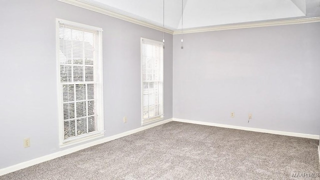 carpeted empty room featuring crown molding