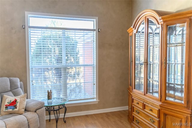 living area featuring light hardwood / wood-style floors