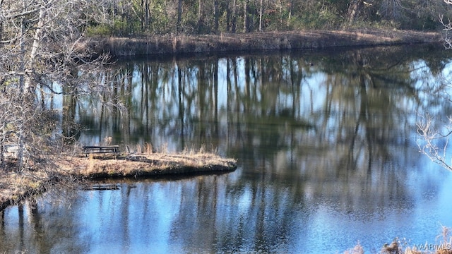 view of water feature