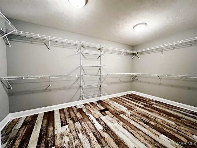 spacious closet with wood-type flooring