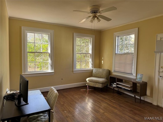 living area featuring dark hardwood / wood-style flooring, ceiling fan, and ornamental molding