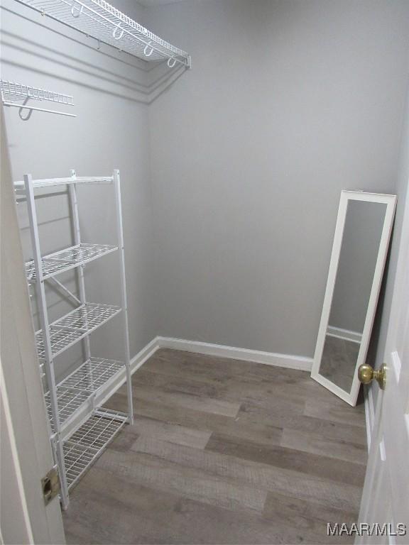 spacious closet featuring wood finished floors