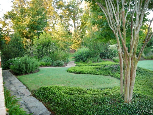 view of community featuring a lawn