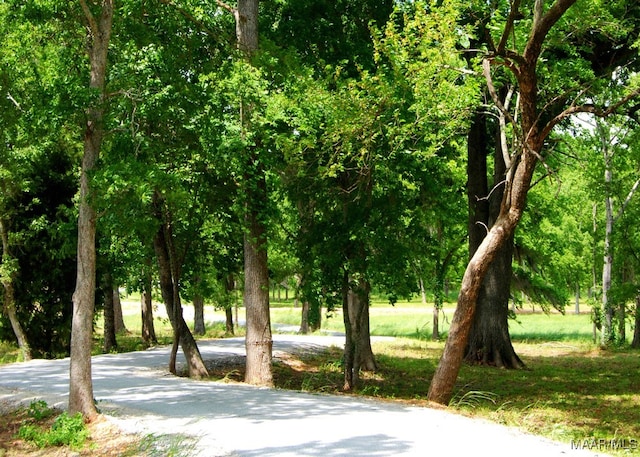 view of property's community