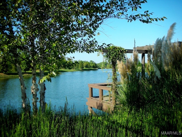 water view featuring a dock