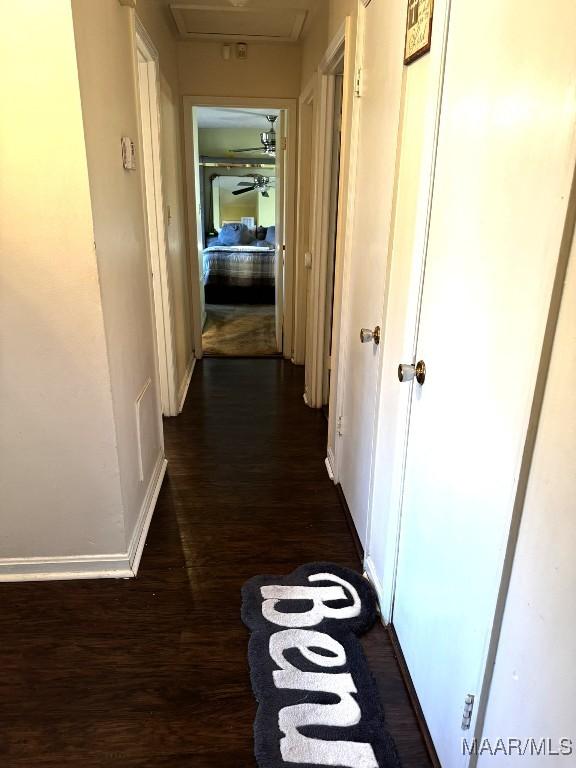 hallway featuring dark hardwood / wood-style floors