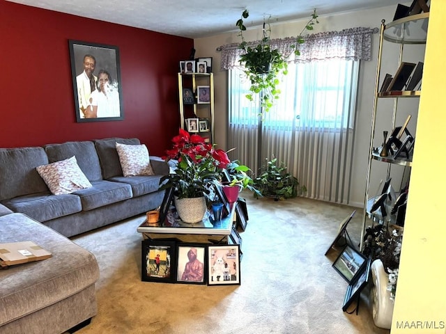 view of carpeted living room