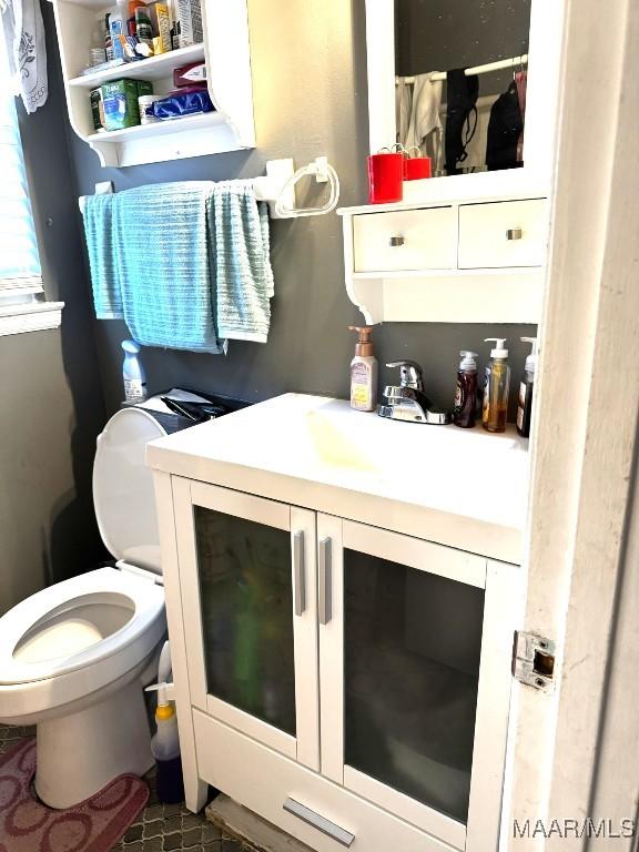 bathroom with vanity and toilet