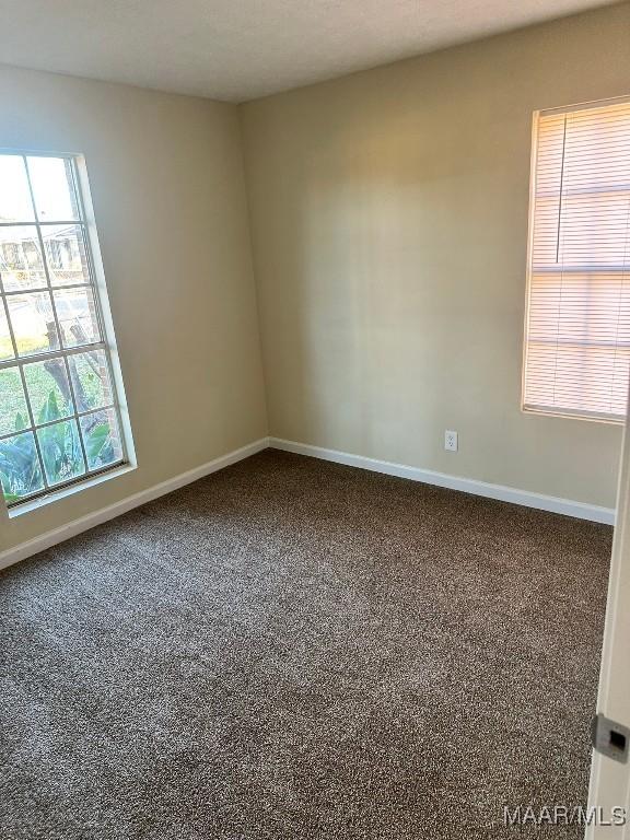 unfurnished room with carpet flooring