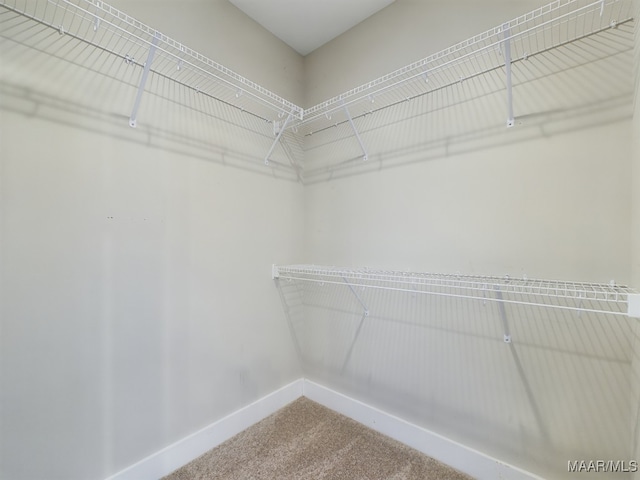 walk in closet with carpet