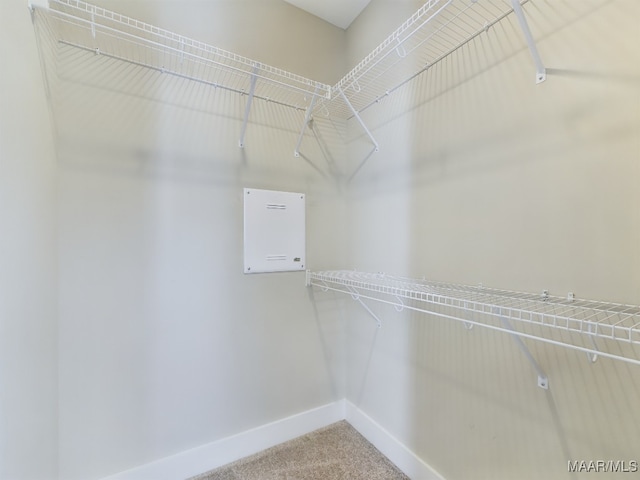 spacious closet with carpet