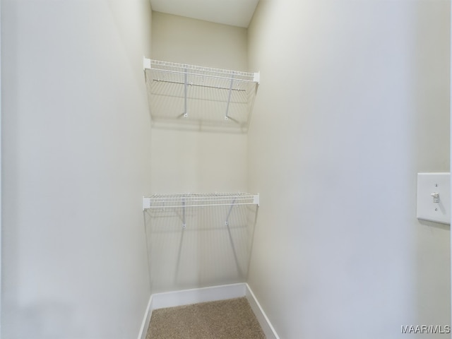 walk in closet with carpet