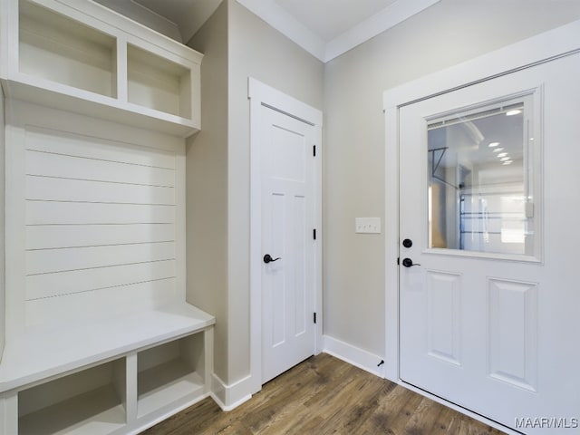 mudroom featuring crown molding and dark wood-type flooring